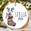 il 1000xN.6382976184 mo9p - Pitbull Dog Merch